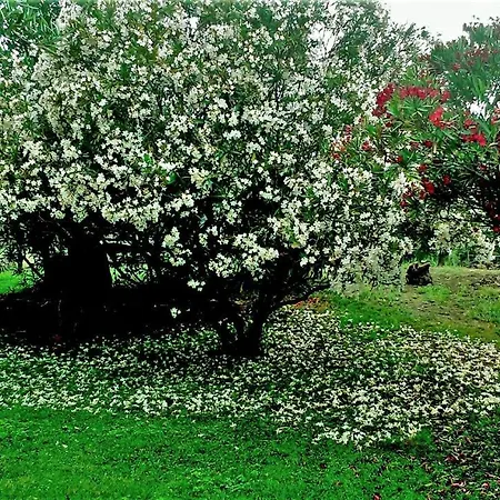 ホテル Baja Azzurra