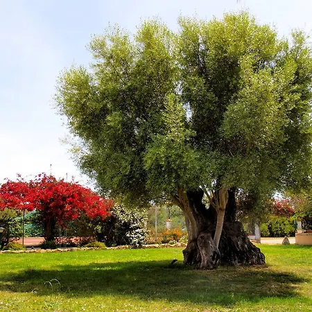 Hotel Baja Azzurra Bari Sardo