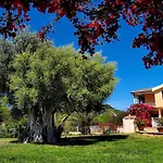 Baja Azzurra Hotel