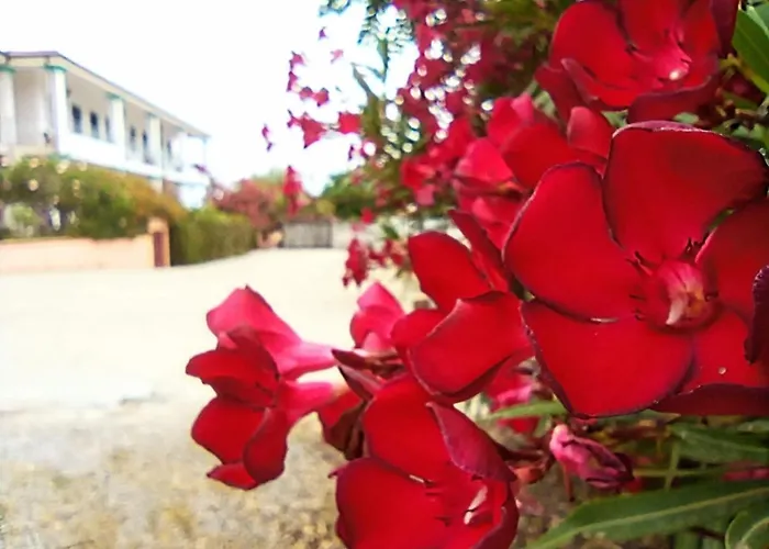 Baja Azzurra Hotel Bari Sardo