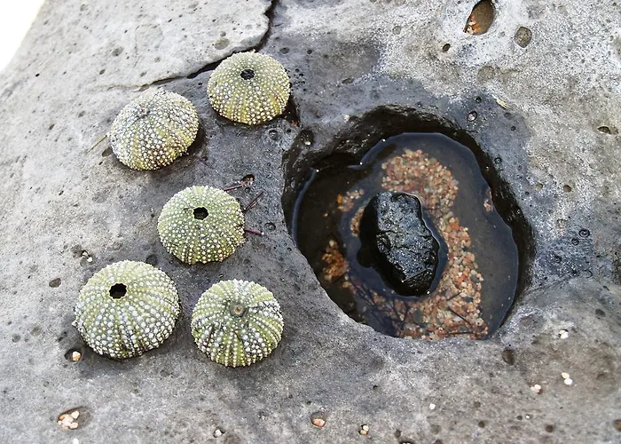 Hotel Baja Azzurra Bari Sardo