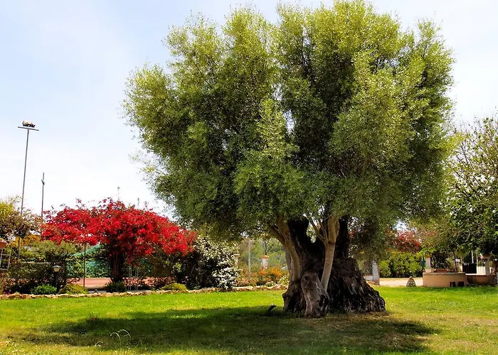 Hotel Baja Azzurra Bari Sardo