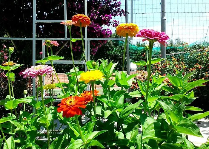 Baja Azzurra Hotel Bari Sardo